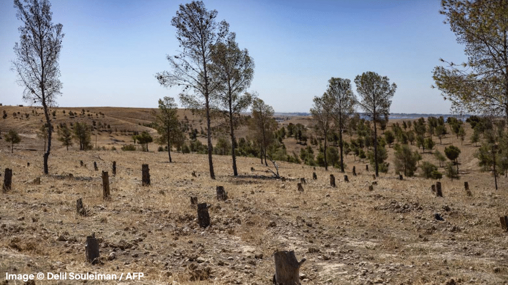 ﺗﺠﺮﯾﻢ »اﻹﯾﻜﻮﺳﺎﯾﺪ« او اﻹﺑﺎدة اﻟﺒﯿﺌﯿﺔ: ﺗﺄﻣﻼت ﻣﻦ ﻣﻨﺘﺪى اﻷﻣﻢ اﻟﻤﺘﺤﺪة ﻟﻸﻋﻤﺎل اﻟﺘﺠﺎرﯾﺔ وﺣﻘﻮق اﻹﻧﺴﺎن